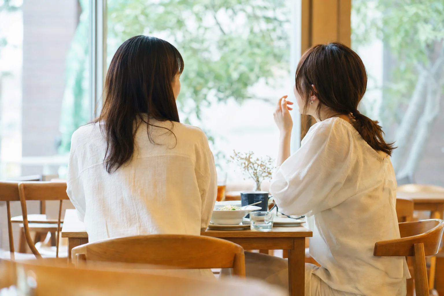 カフェで向かい合って話す二人の女性の後ろ姿